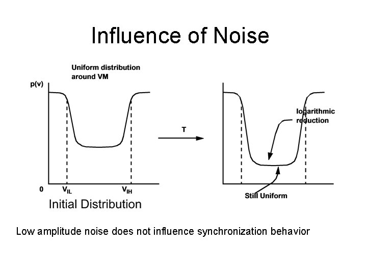 Influence of Noise Low amplitude noise does not influence synchronization behavior 