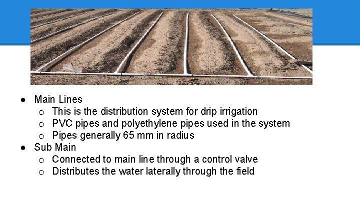 ● Main Lines o This is the distribution system for drip irrigation o PVC