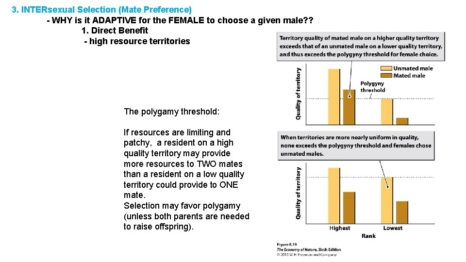 3. INTERsexual Selection (Mate Preference) - WHY is it ADAPTIVE for the FEMALE to