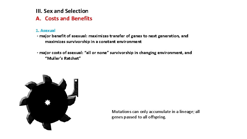 III. Sex and Selection A. Costs and Benefits 1. Asexual - major benefit of
