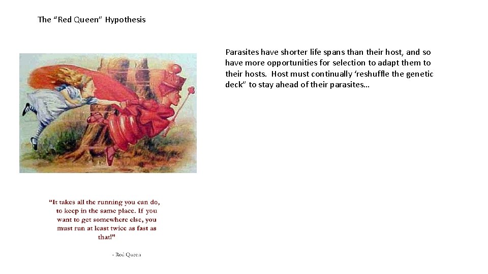 The “Red Queen” Hypothesis Parasites have shorter life spans than their host, and so