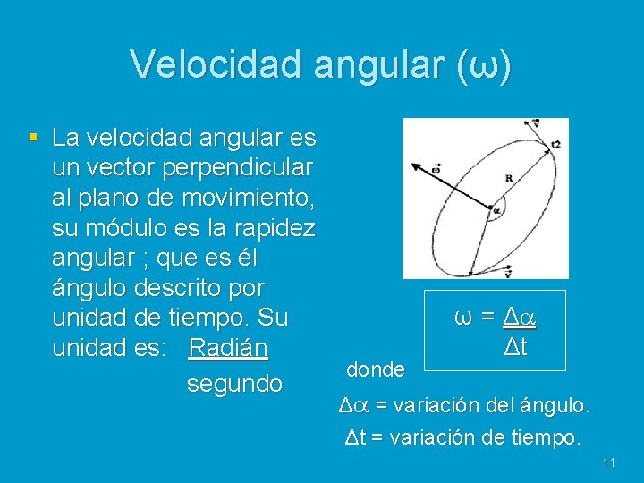 Velocidad angular (ω) § La velocidad angular es un vector perpendicular al plano de
