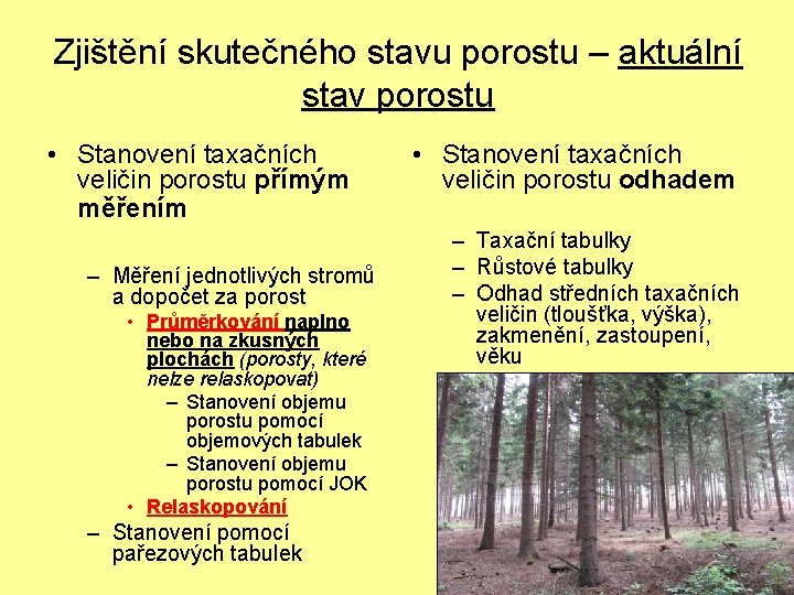 Zjištění skutečného stavu porostu – aktuální stav porostu • Stanovení taxačních veličin porostu přímým