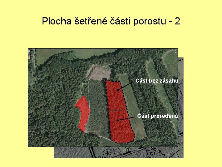 Plocha šetřené části porostu - 2 Část bez zásahu Část proředěná 