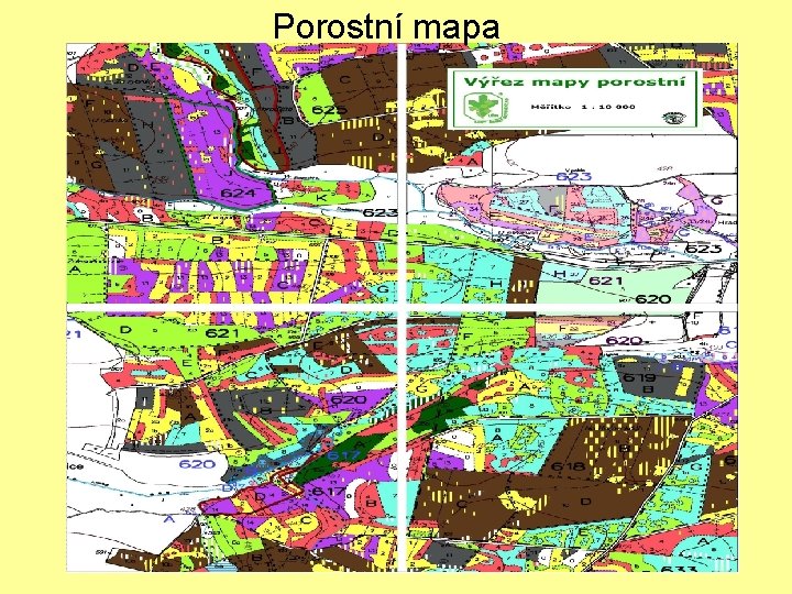 Porostní mapa 