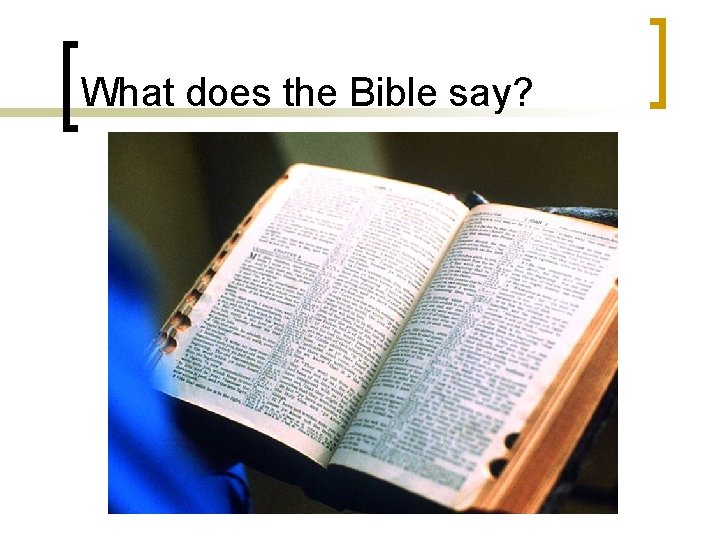 What does the Bible say? 