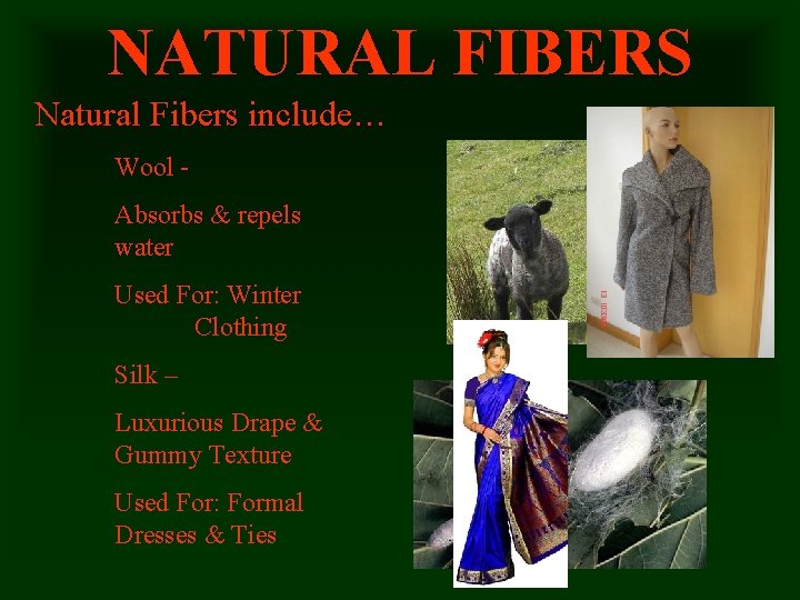 NATURAL FIBERS Natural Fibers include… Wool Absorbs & repels water Used For: Winter Clothing