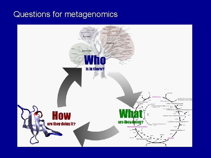 Questions for metagenomics 