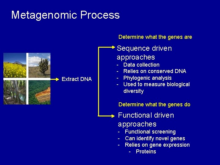 Metagenomic Process Determine what the genes are Sequence driven approaches Extract DNA - Data