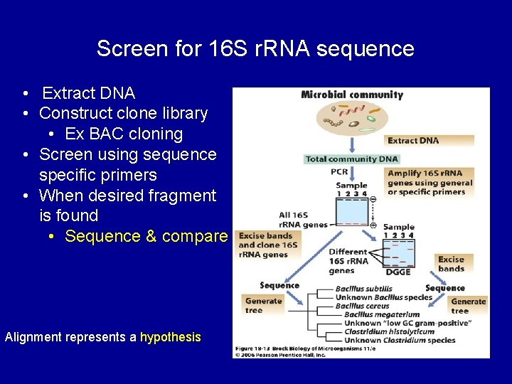 Screen for 16 S r. RNA sequence • Extract DNA • Construct clone library