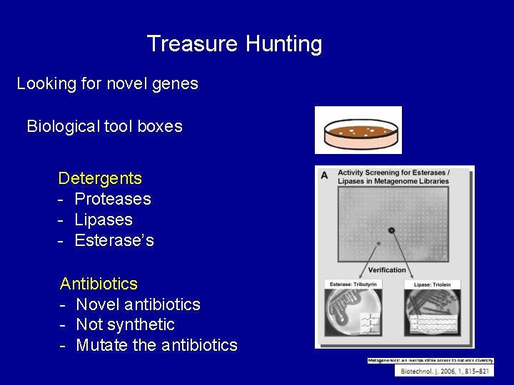 Treasure Hunting Looking for novel genes Biological tool boxes Detergents - Proteases - Lipases