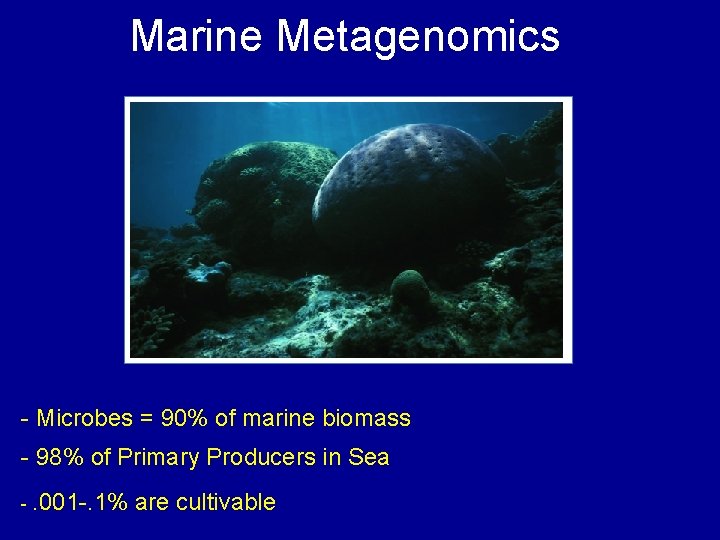 Marine Metagenomics - Microbes = 90% of marine biomass - 98% of Primary Producers