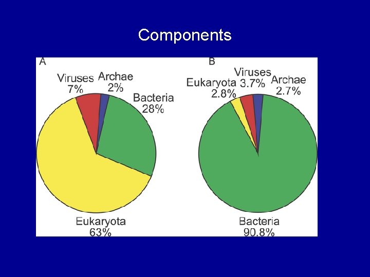 Components 