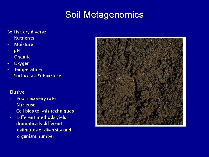 Soil Metagenomics Soil is very diverse - Nutrients - Moisture - p. H -