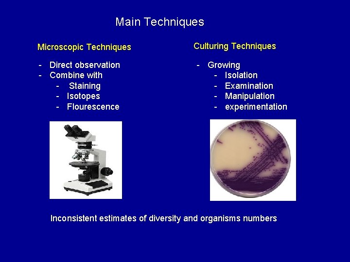 Main Techniques Microscopic Techniques - Direct observation - Combine with - Staining - Isotopes