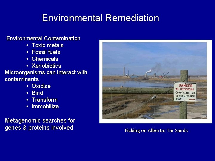 Environmental Remediation Environmental Contamination • Toxic metals • Fossil fuels • Chemicals • Xenobiotics