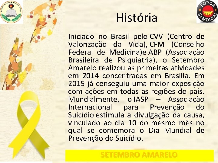 História Iniciado no Brasil pelo CVV (Centro de Valorização da Vida), CFM (Conselho Federal