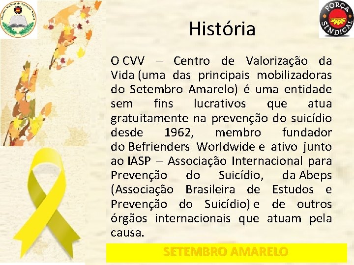 História O CVV – Centro de Valorização da Vida (uma das principais mobilizadoras do