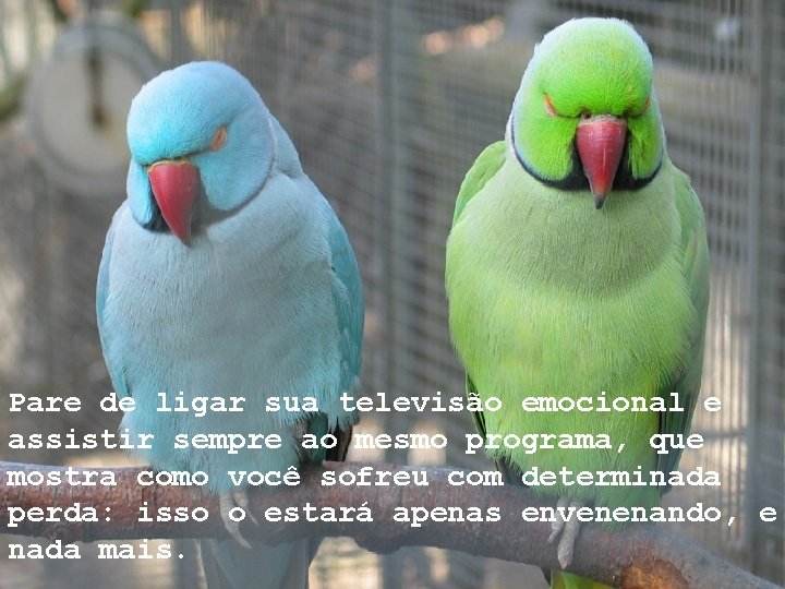 Pare de ligar sua televisão emocional e assistir sempre ao mesmo programa, que mostra