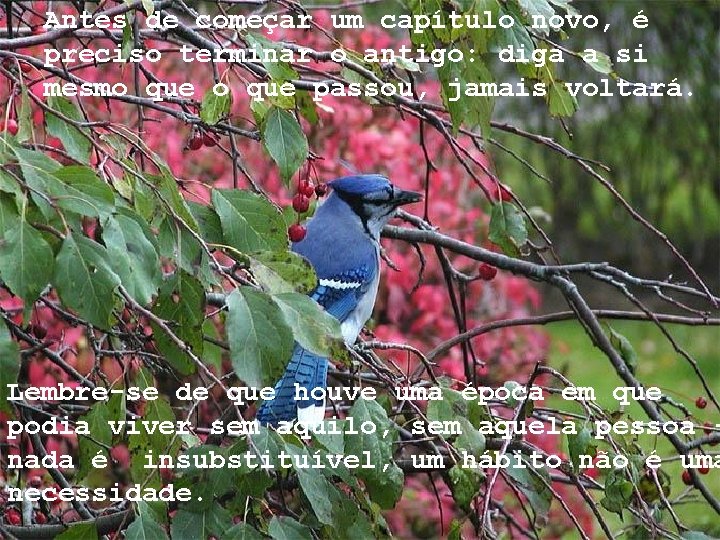 Antes de começar um capítulo novo, é preciso terminar o antigo: diga a si