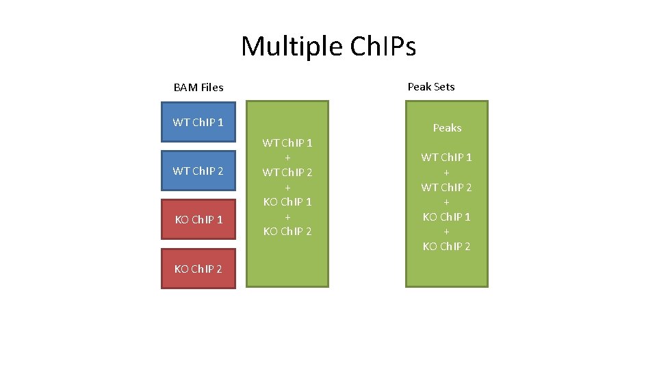Multiple Ch. IPs Peak Sets BAM Files WT Ch. IP 1 WT Ch. IP