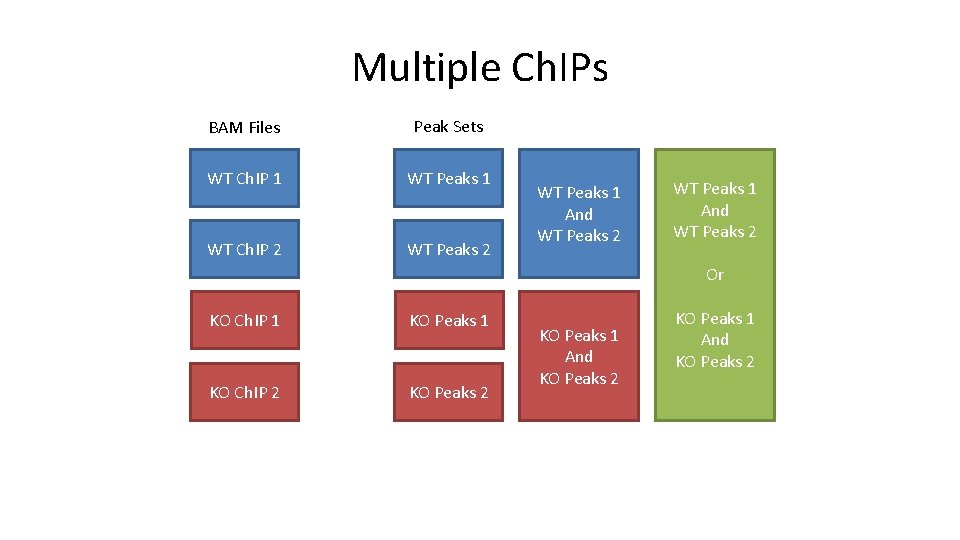 Multiple Ch. IPs BAM Files Peak Sets WT Ch. IP 1 WT Peaks 1