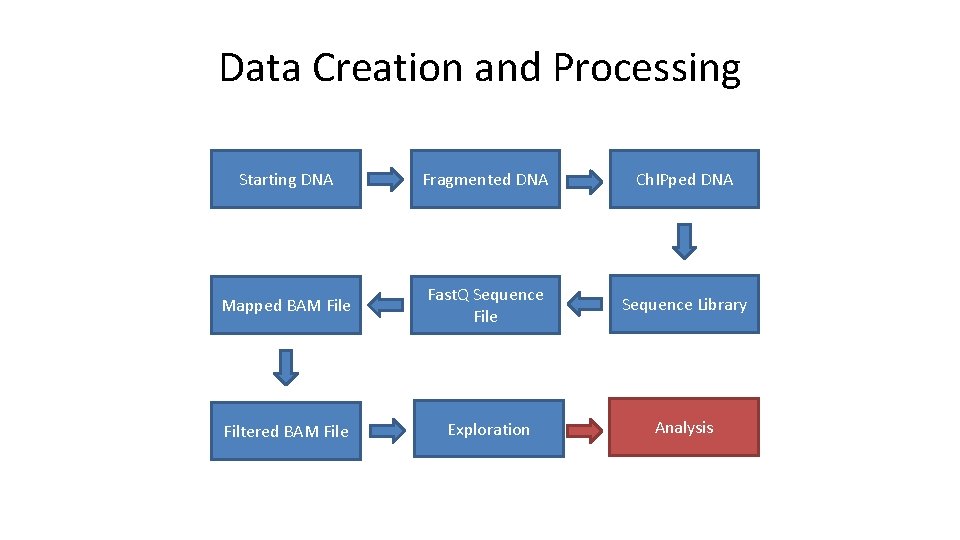 Data Creation and Processing Starting DNA Fragmented DNA Ch. IPped DNA Mapped BAM File