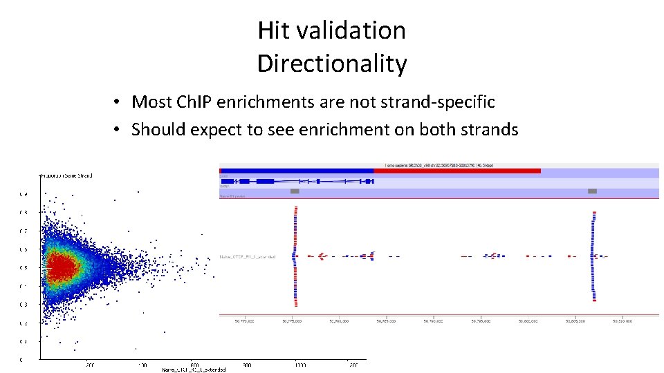 Hit validation Directionality • Most Ch. IP enrichments are not strand-specific • Should expect