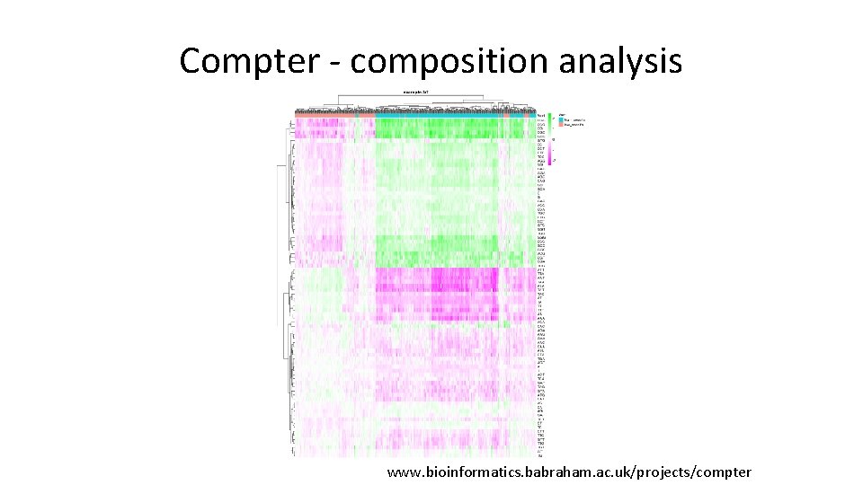 Compter - composition analysis www. bioinformatics. babraham. ac. uk/projects/compter 