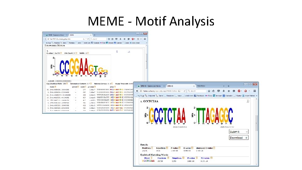MEME - Motif Analysis 
