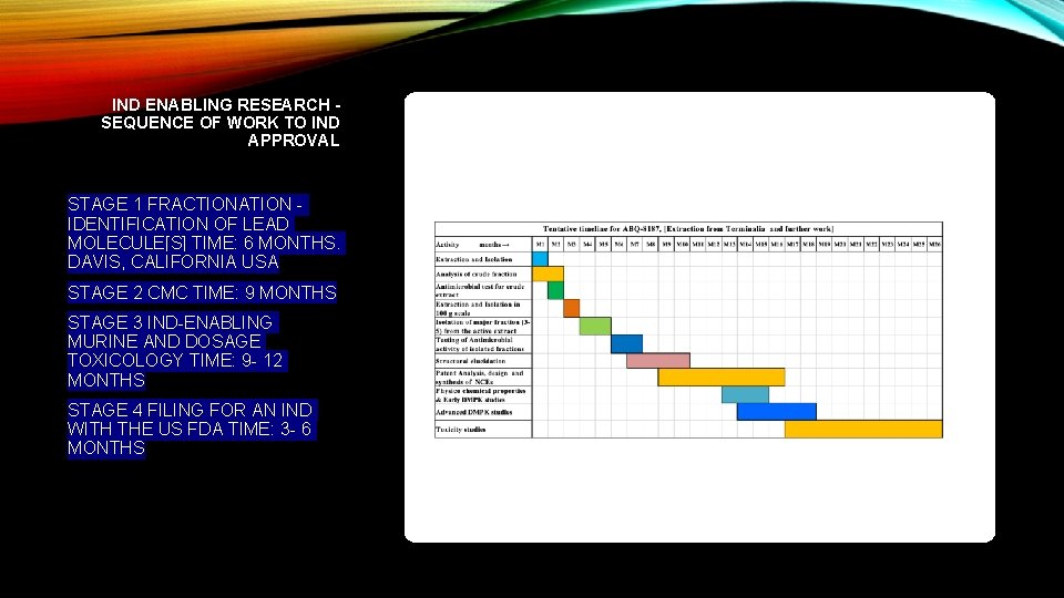  IND ENABLING RESEARCH - SEQUENCE OF WORK TO IND APPROVAL STAGE 1 FRACTIONATION