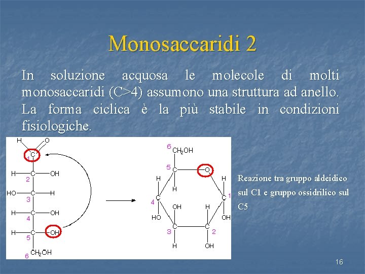 Monosaccaridi 2 In soluzione acquosa le molecole di molti monosaccaridi (C>4) assumono una struttura