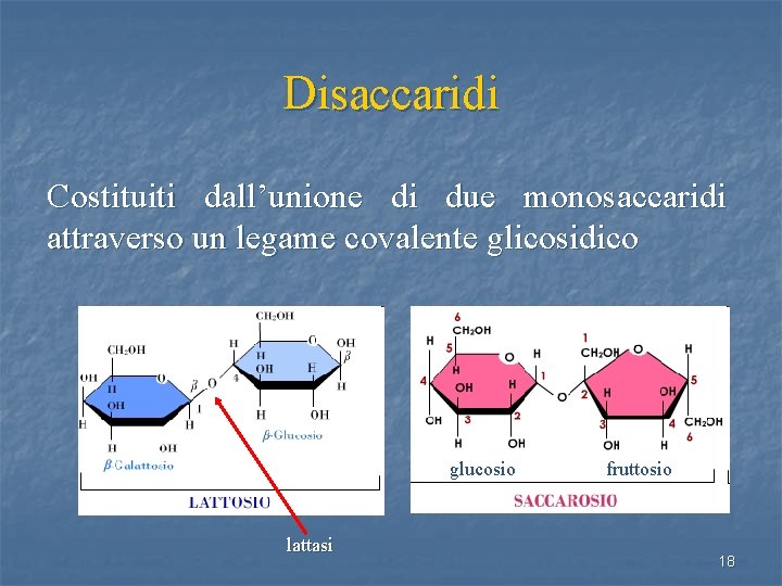 Disaccaridi Costituiti dall’unione di due monosaccaridi attraverso un legame covalente glicosidico glucosio lattasi fruttosio