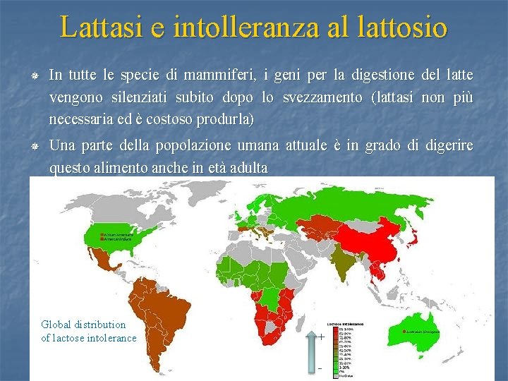 Lattasi e intolleranza al lattosio ¯ In tutte le specie di mammiferi, i geni