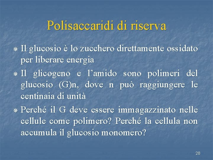 Polisaccaridi di riserva Il glucosio è lo zucchero direttamente ossidato per liberare energia ¯