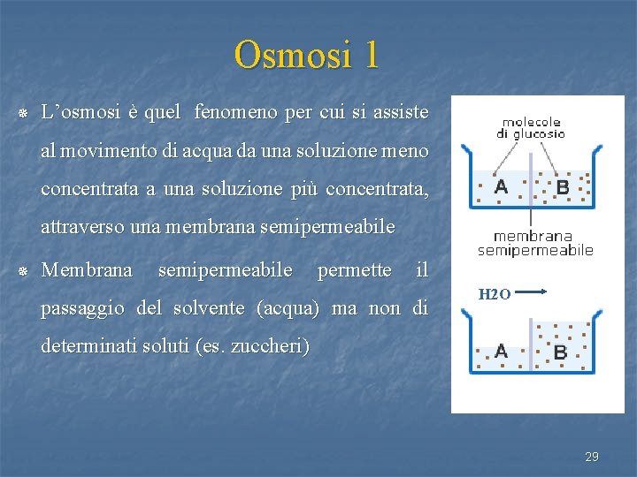 Osmosi 1 ¯ L’osmosi è quel fenomeno per cui si assiste al movimento di