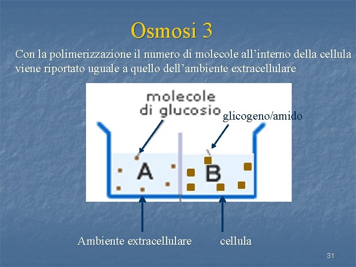 Osmosi 3 Con la polimerizzazione il numero di molecole all’interno della cellula viene riportato