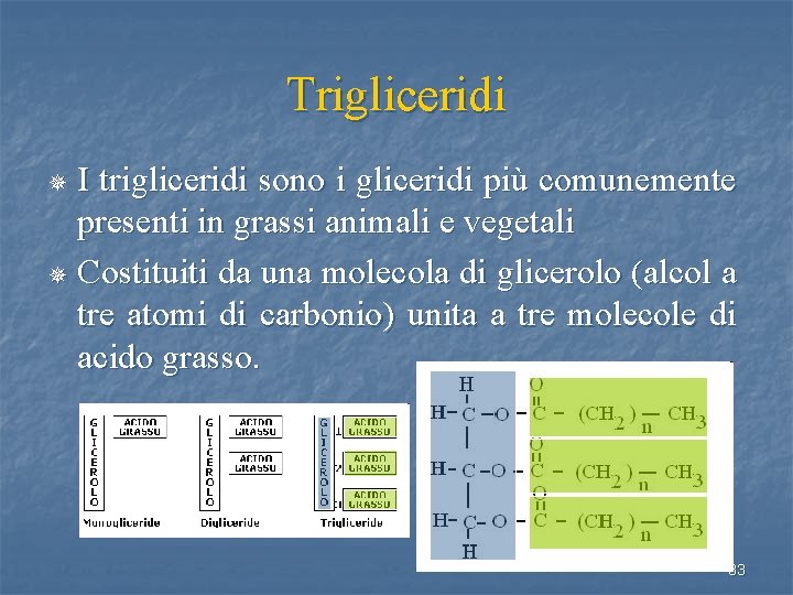 Trigliceridi I trigliceridi sono i gliceridi più comunemente presenti in grassi animali e vegetali