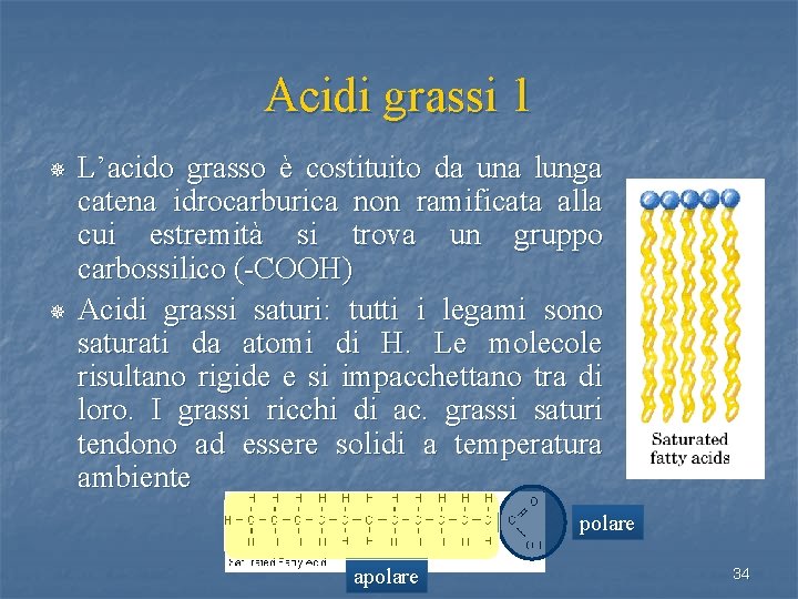 Acidi grassi 1 ¯ ¯ L’acido grasso è costituito da una lunga catena idrocarburica