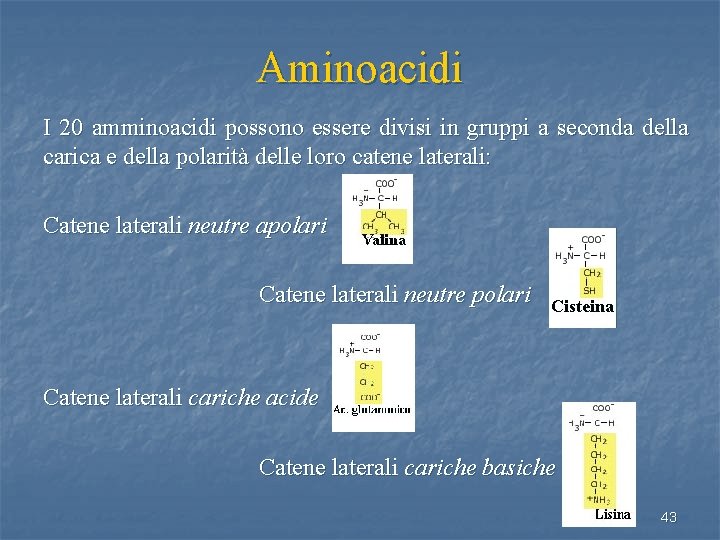 Aminoacidi I 20 amminoacidi possono essere divisi in gruppi a seconda della carica e