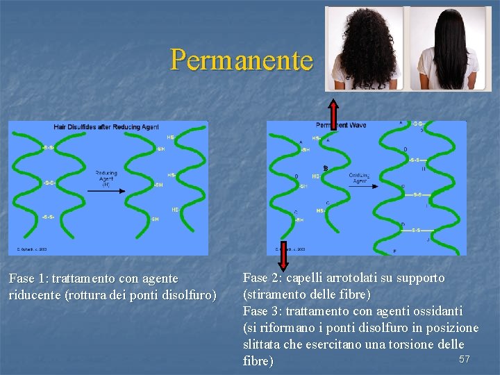 Permanente B Fase 1: trattamento con agente riducente (rottura dei ponti disolfuro) Fase 2: