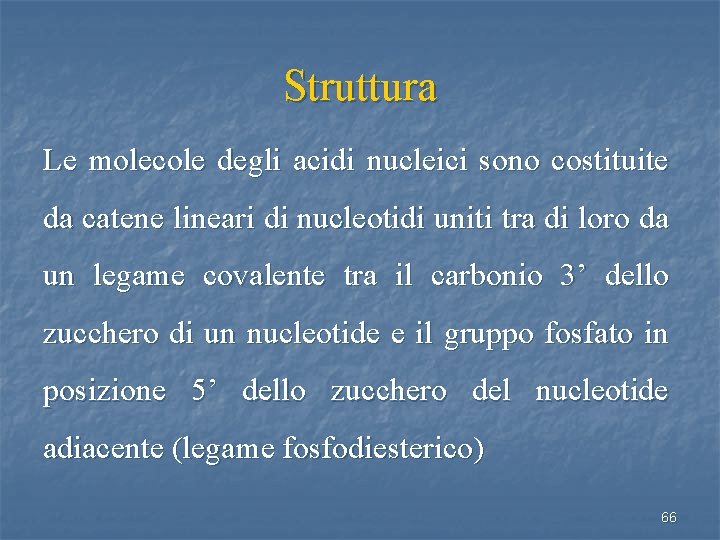 Struttura Le molecole degli acidi nucleici sono costituite da catene lineari di nucleotidi uniti