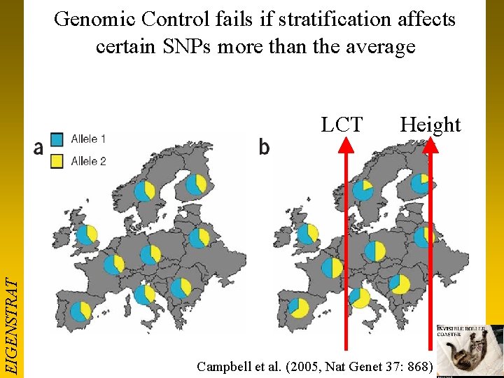 Genomic Control fails if stratification affects certain SNPs more than the average EIGENSTRAT LCT