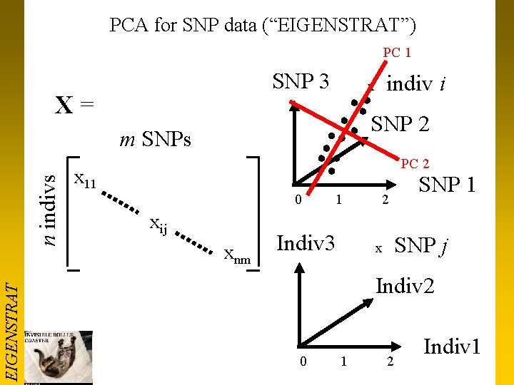 PCA for SNP data (“EIGENSTRAT”) PC 1 SNP 3 X = SNP 2 EIGENSTRAT