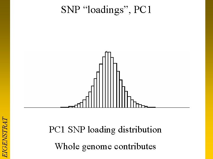 EIGENSTRAT SNP “loadings”, PC 1 SNP loading distribution Whole genome contributes 