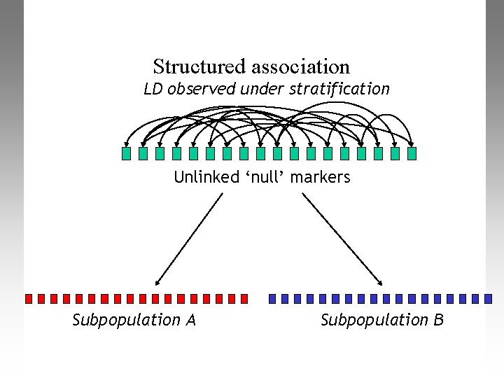 Structured association LD observed under stratification Unlinked ‘null’ markers Subpopulation A Subpopulation B 