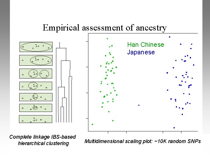 Empirical assessment of ancestry Han Chinese Japanese Complete linkage IBS-based hierarchical clustering Multidimensional scaling