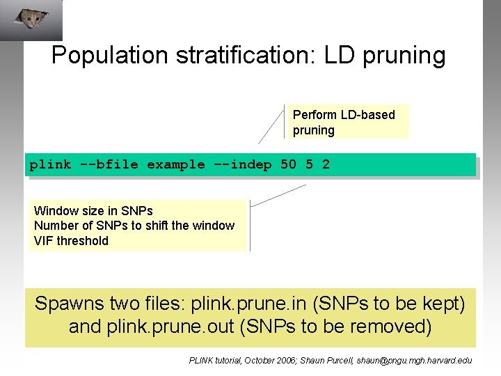 Population stratification: LD pruning Perform LD-based pruning plink --bfile example –-indep 50 5 2
