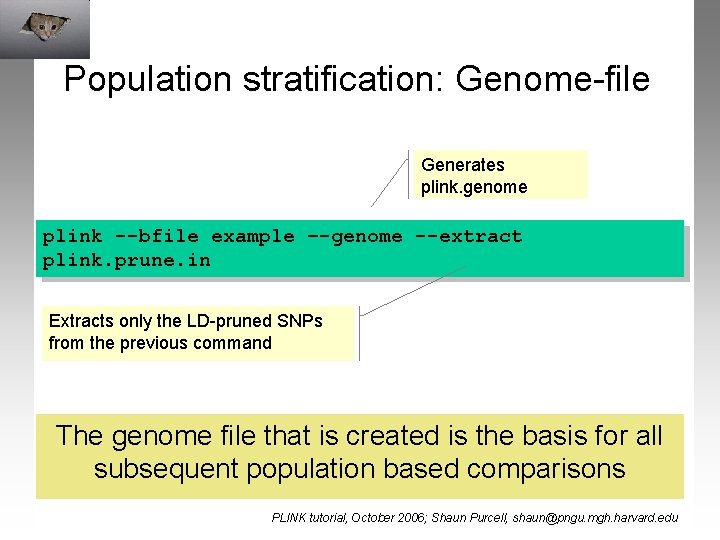 Population stratification: Genome-file Generates plink. genome plink --bfile example –-genome --extract plink. prune. in