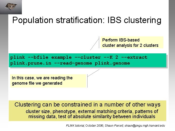 Population stratification: IBS clustering Perform IBS-based cluster analysis for 2 clusters plink --bfile example